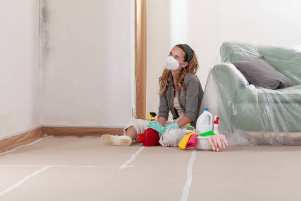 Reliable Mold Remediation contractor in West Linn, OR by WQB Mold Removal